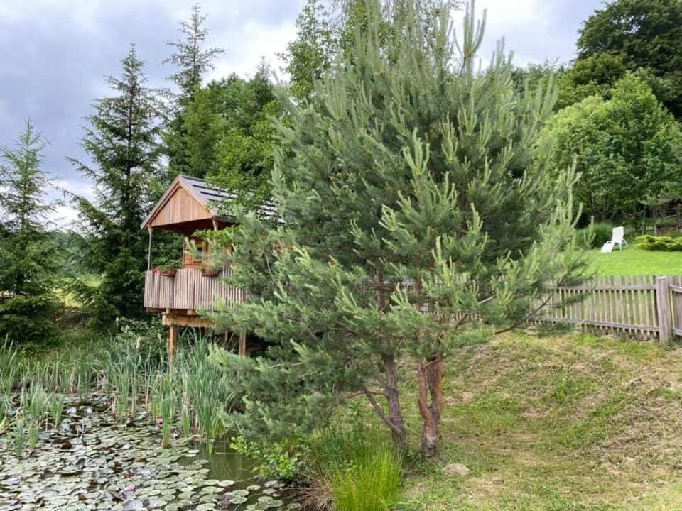 Day, Natural landscape, Garden