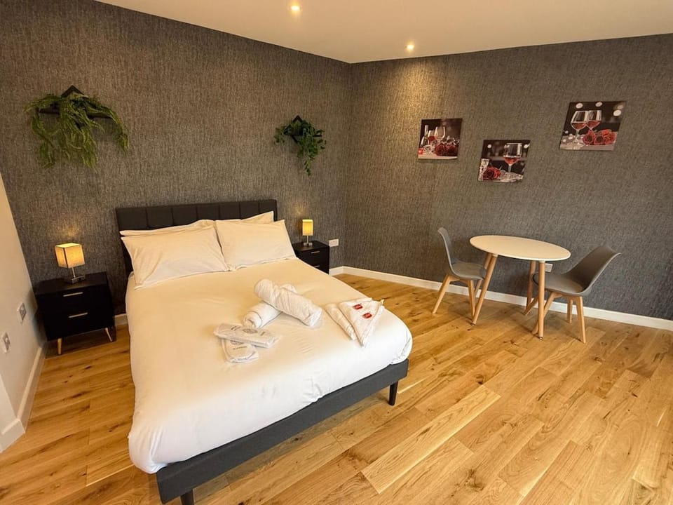 Luxury studio Apartment in Bristol