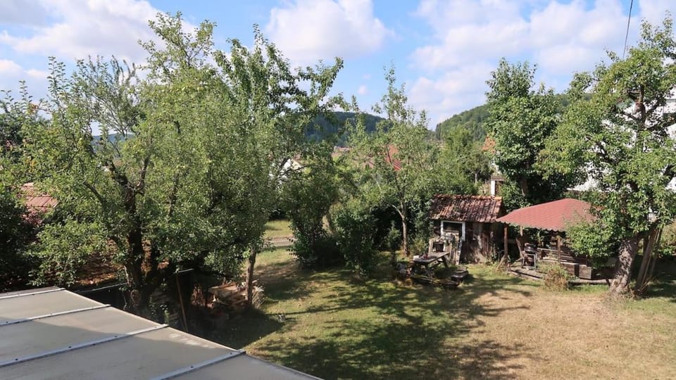 Garden view