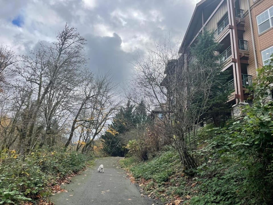 Old Town Issaquah Mtn View Apartment in Issaquah