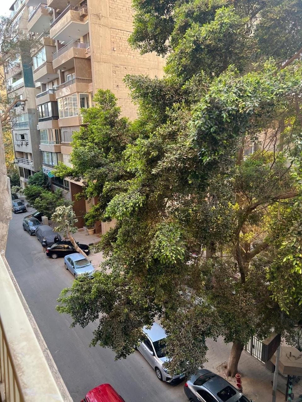Luxurious apartment in zamalek Apartment in Cairo