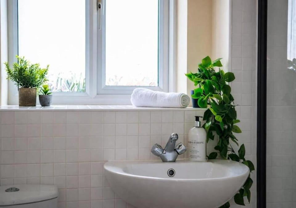 Toilet, Decorative detail