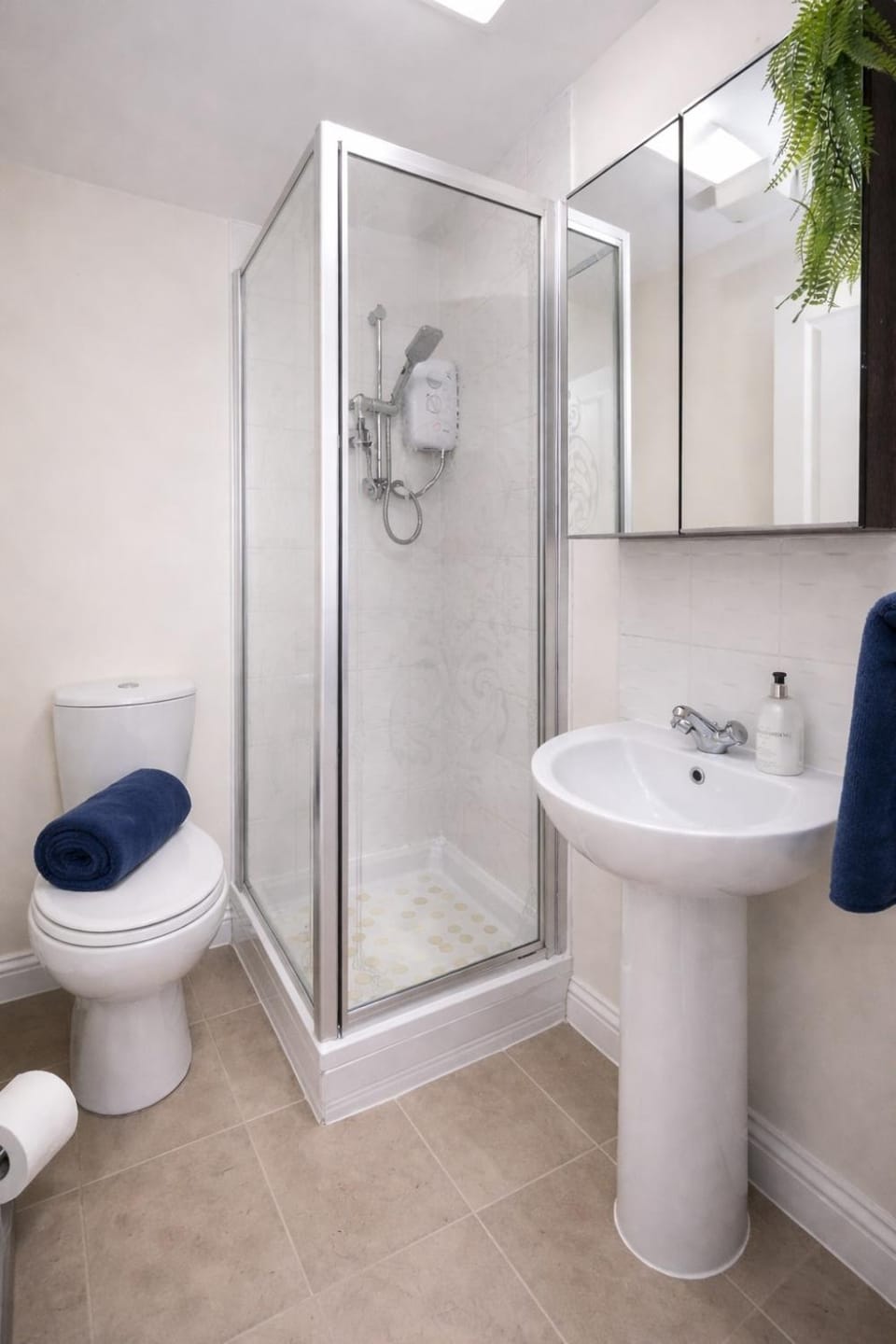 Shower, Toilet, towels