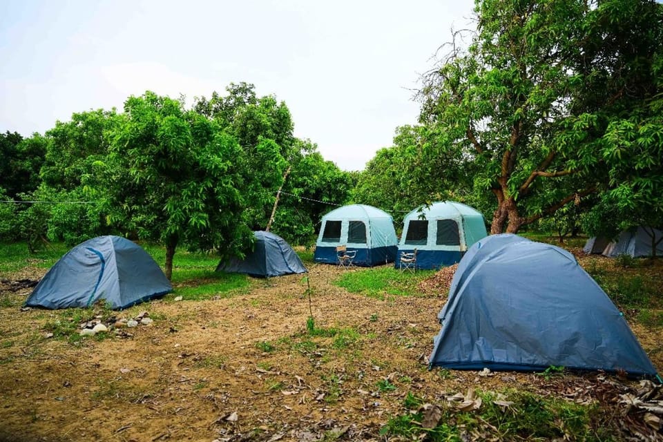 Wildtentadventure Luxury tent in Andhra Pradesh