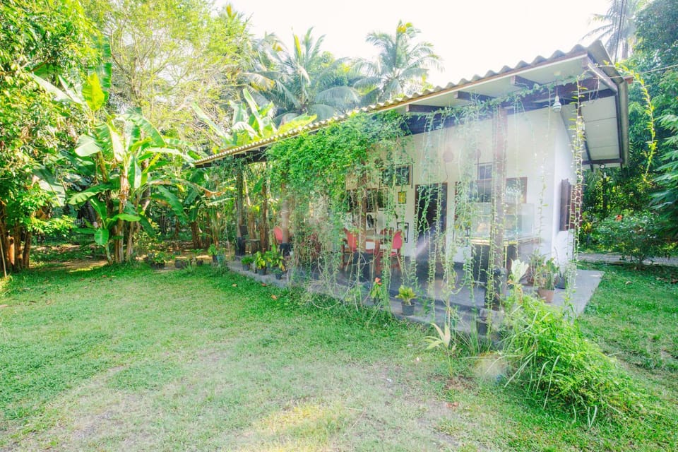 The Comfort Inn Bed and Breakfast in Uva Province, Sri Lanka