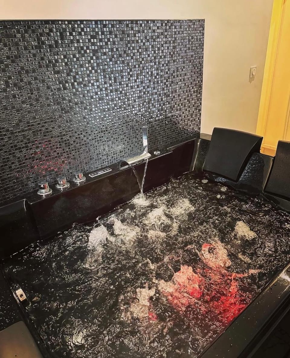 Suite de prestige avec jacuzzi et cinéma Apartment in Charenton-le-Pont