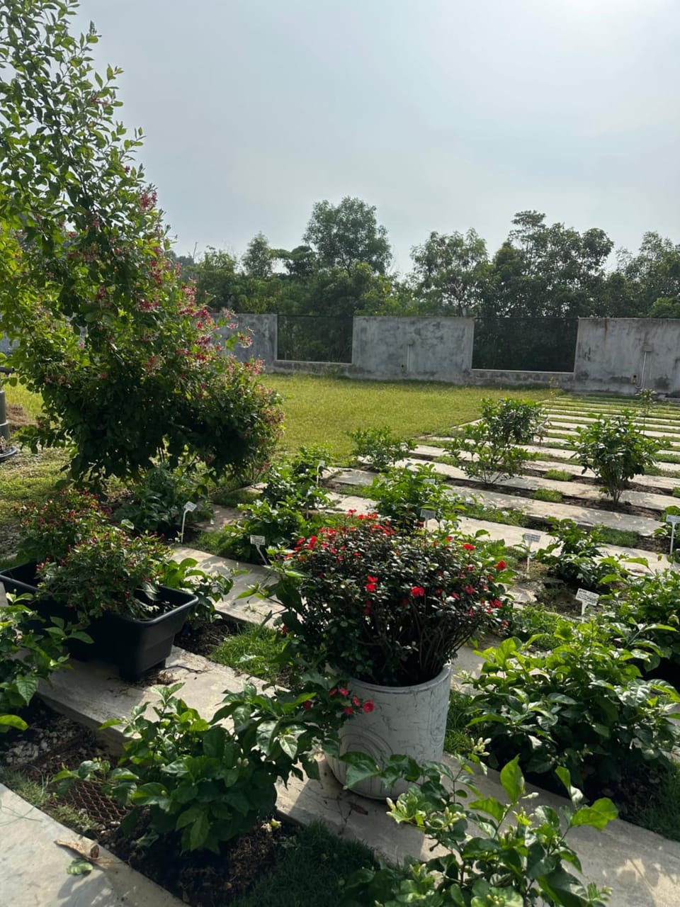 茉莉疗愈民宿 Jasmine Healing Homestay Mentakab Villa in Pahang, Malaysia