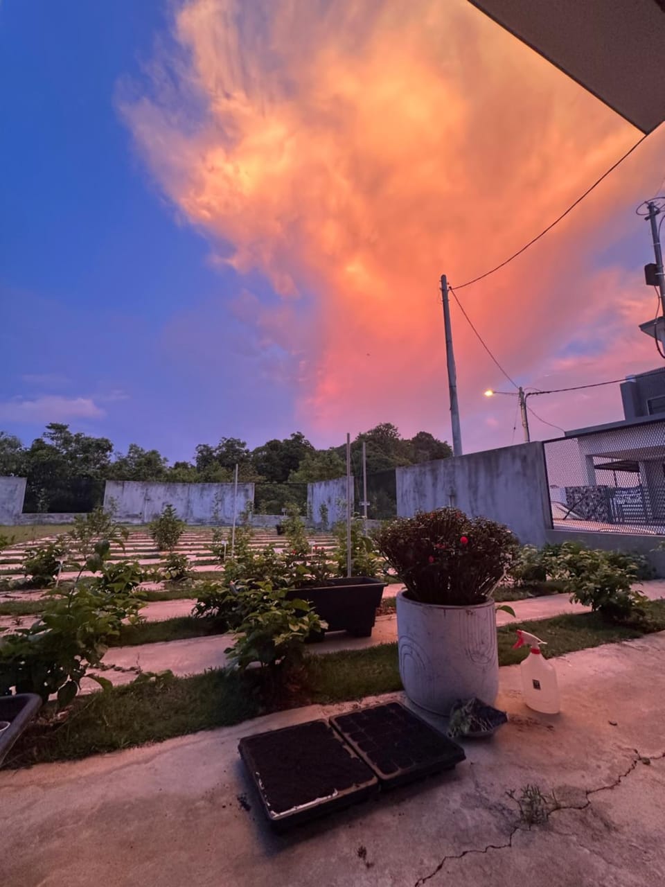 茉莉疗愈民宿 Jasmine Healing Homestay Mentakab Villa in Pahang, Malaysia
