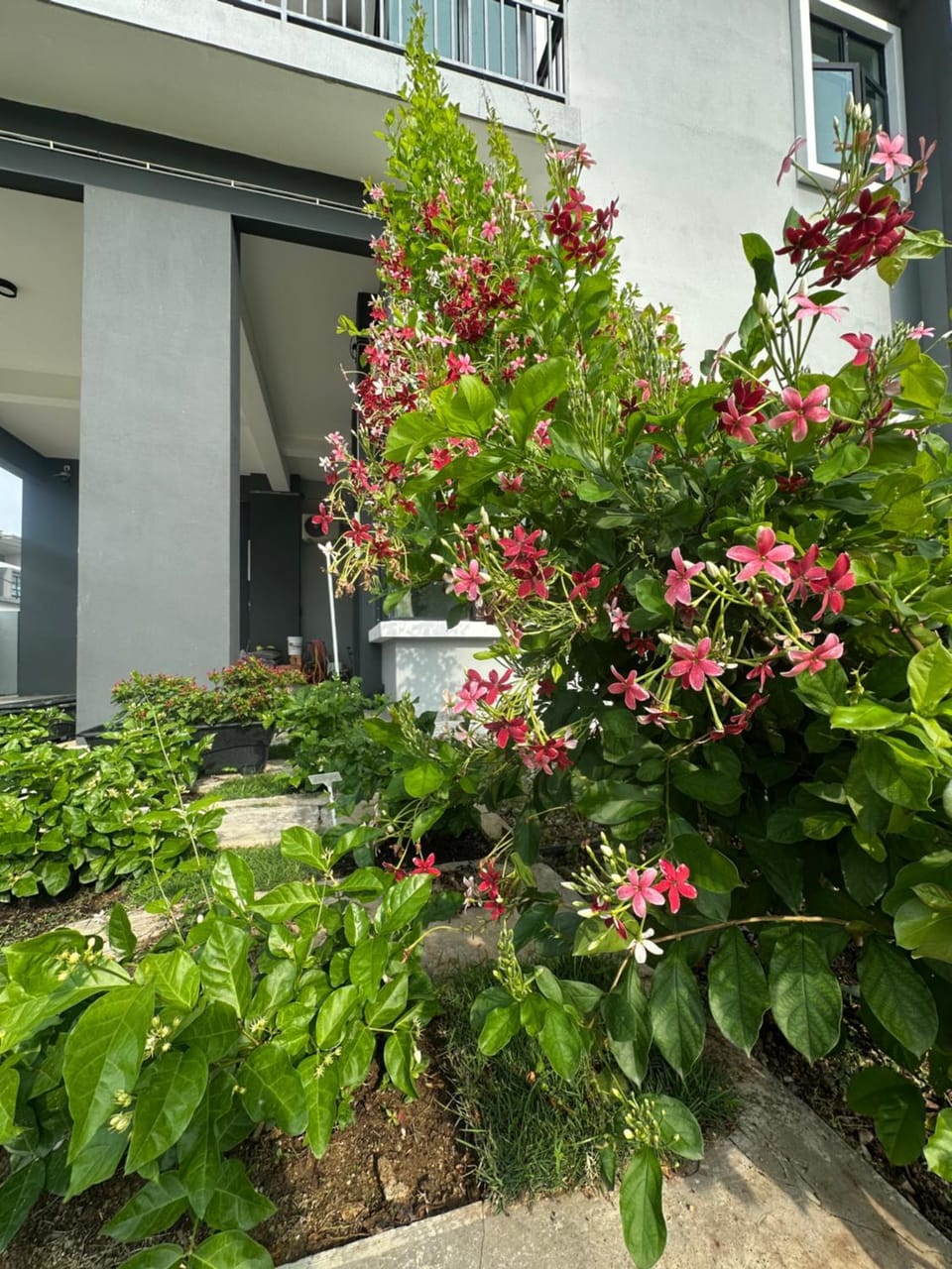 茉莉疗愈民宿 Jasmine Healing Homestay Mentakab Villa in Pahang, Malaysia