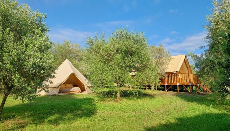 Garden, Garden, View (from property/room), Bedroom, Garden view