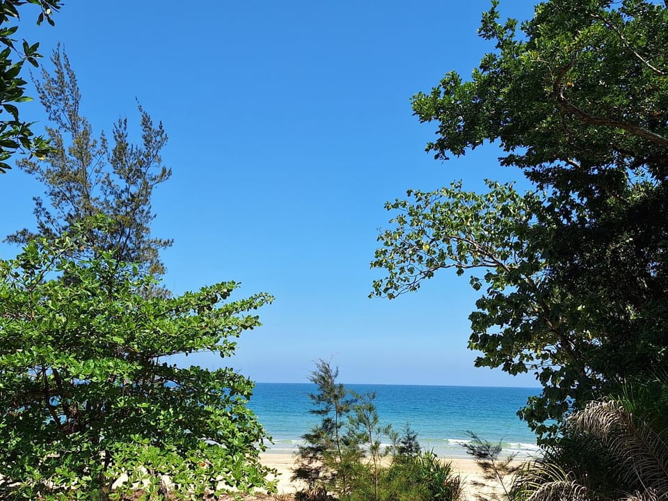 Sea view