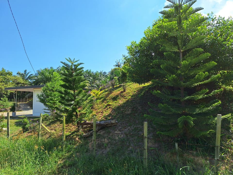 Natural landscape