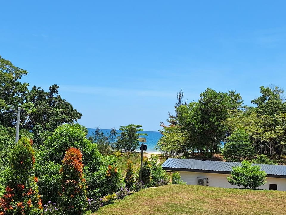 Natural landscape, Garden, Sea view