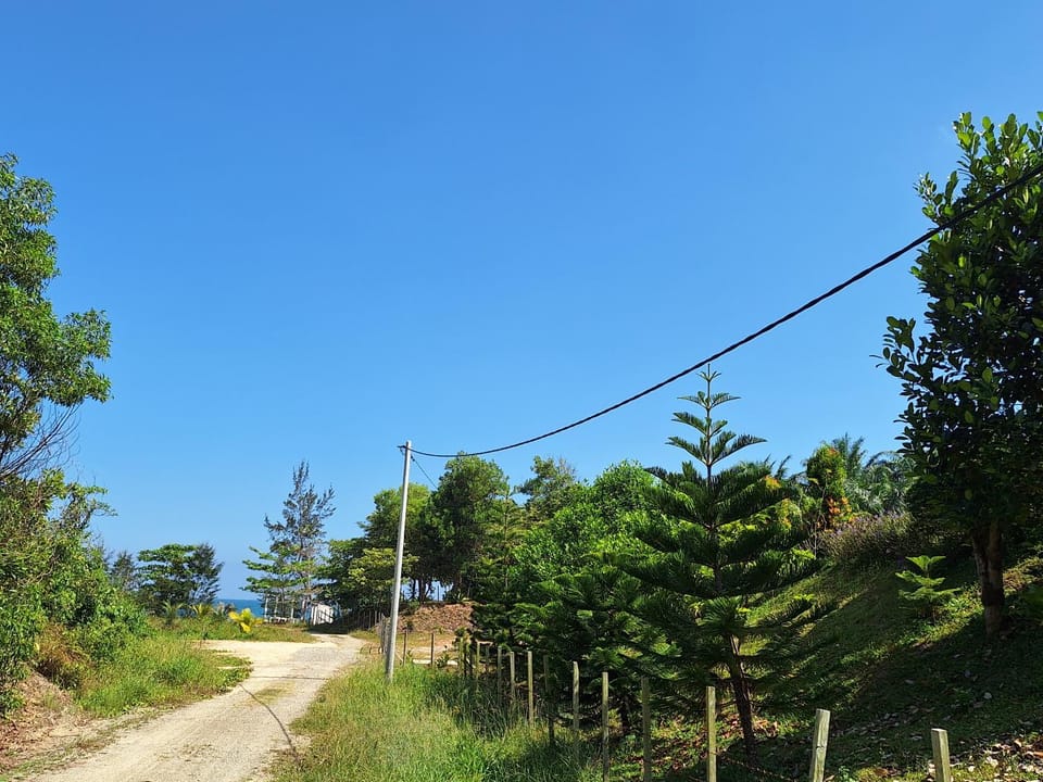 Natural landscape
