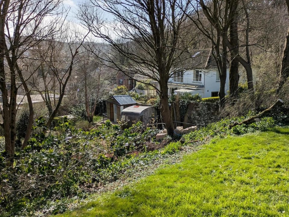 Property building, Natural landscape, Garden