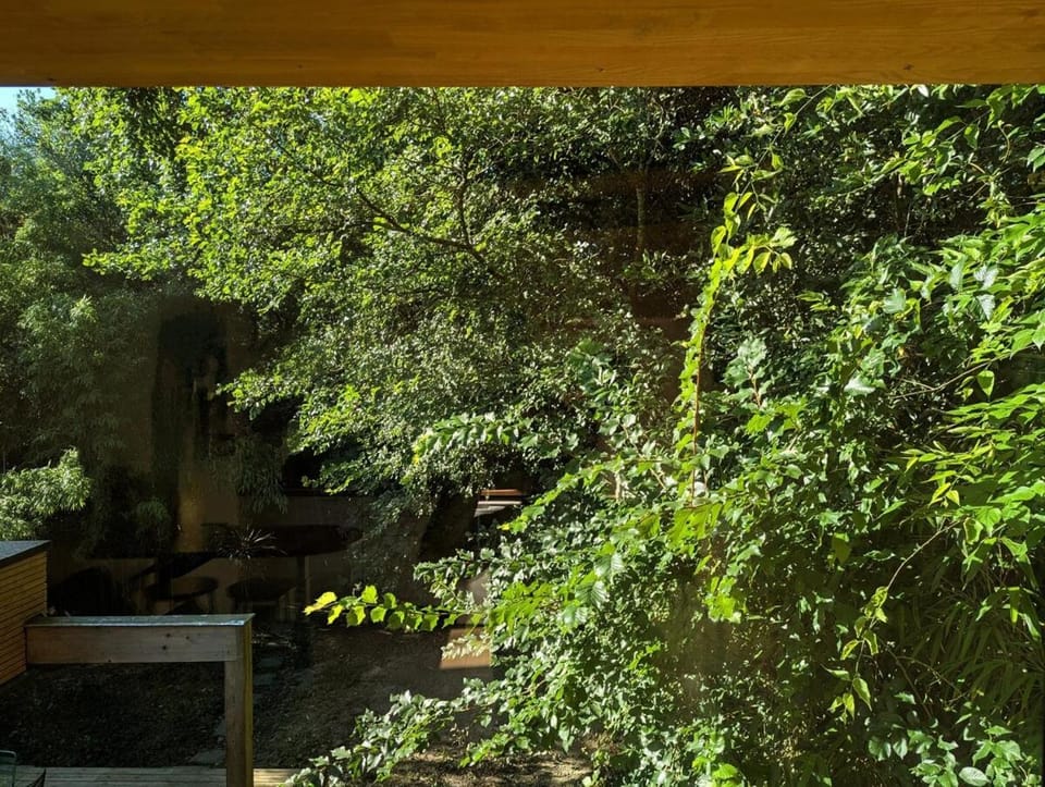 Garden view
