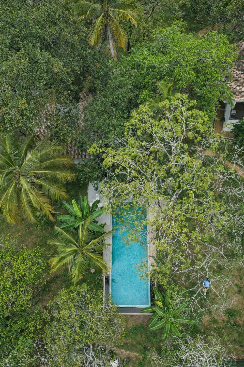 Natural landscape, Bird's eye view, Garden view, Swimming pool