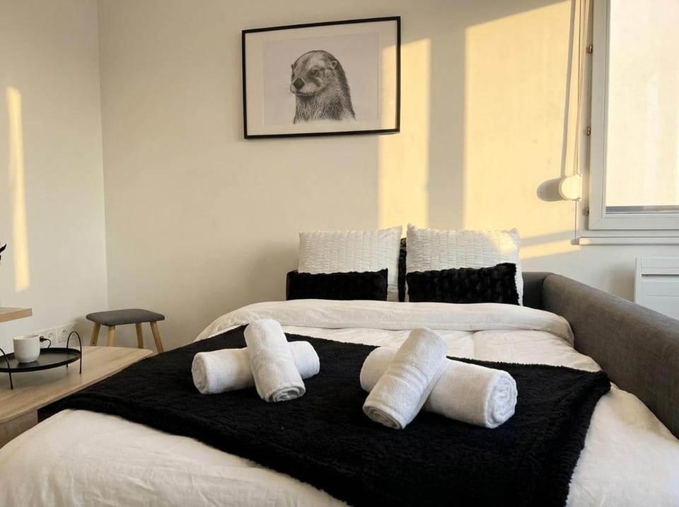 Comfortable, cozy, spacious, close to cathedral Apartment in Reims