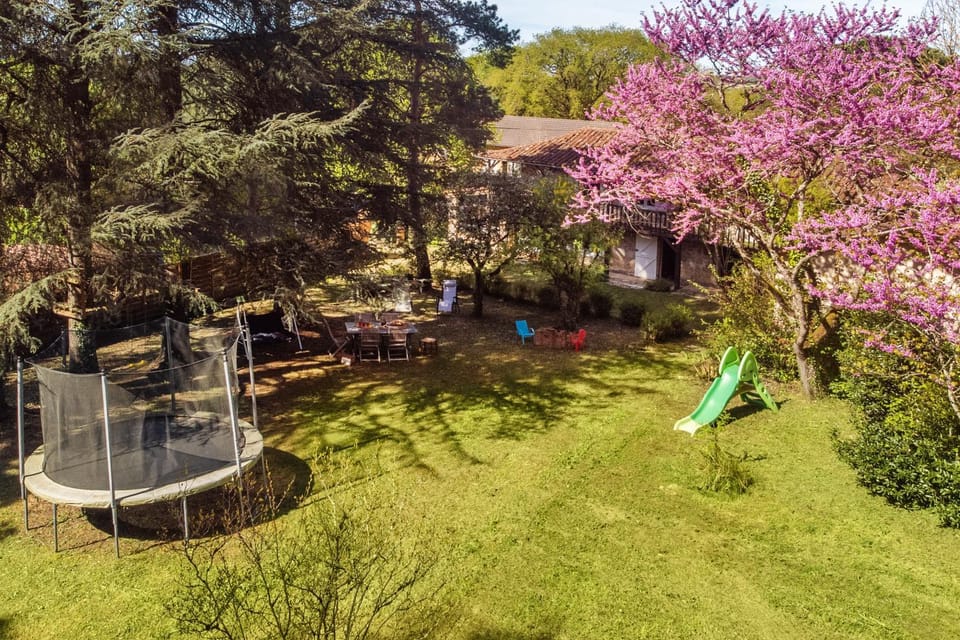 Spring, Day, Natural landscape, Garden, Garden view
