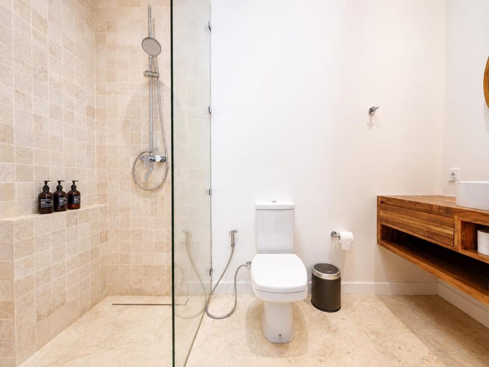 Shower, Toilet, towels