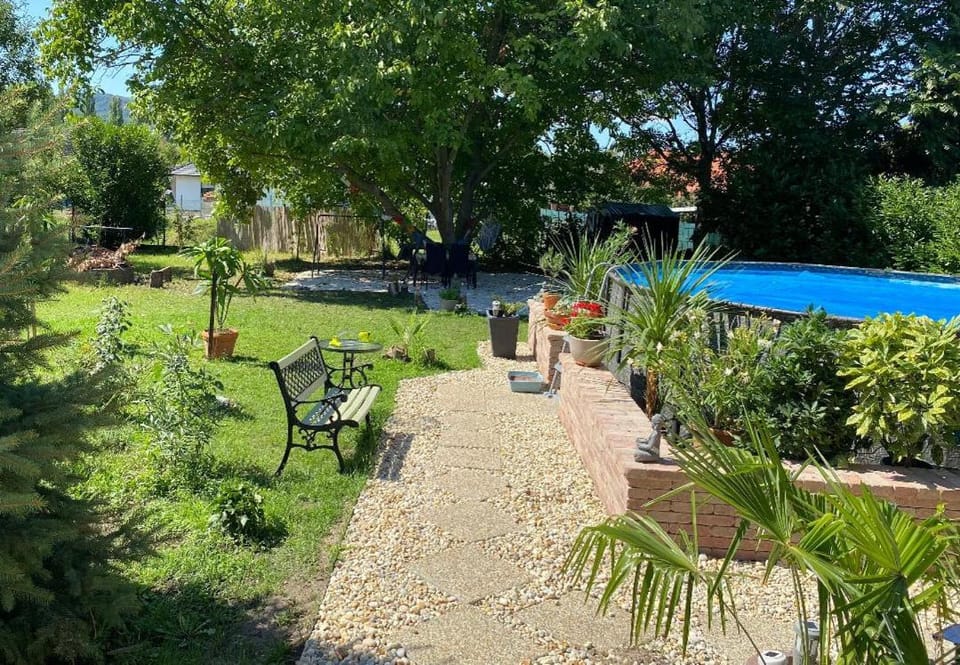 Garden, Pool view, Swimming pool
