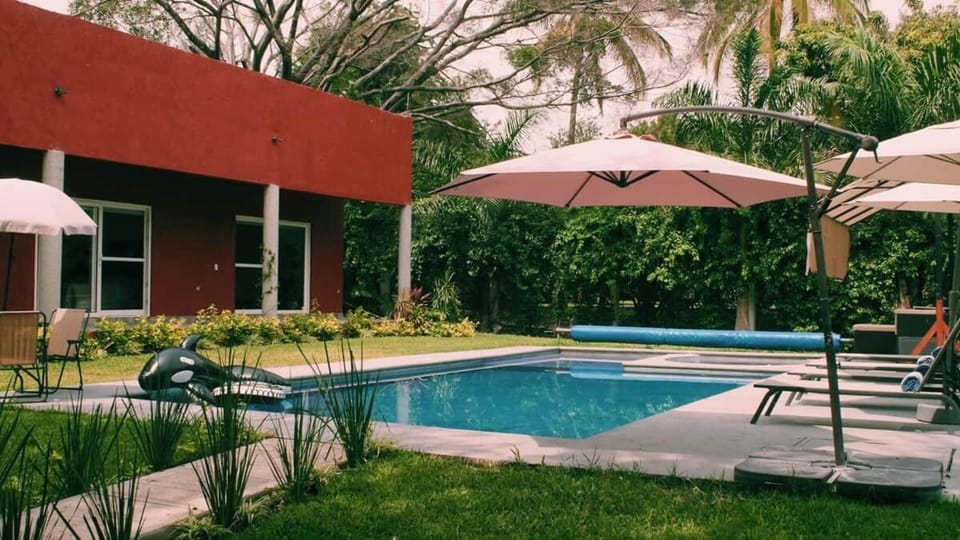 Patio, Spring, Garden, Pool view, Swimming pool, sunbed