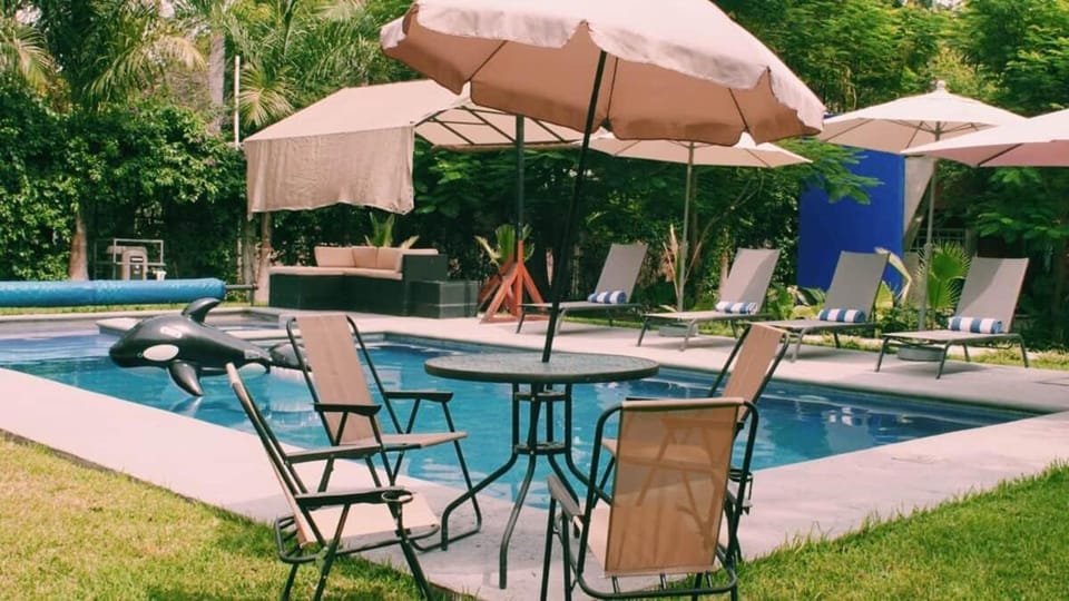 Patio, Spring, Garden, Garden view, Pool view, Swimming pool, sunbed