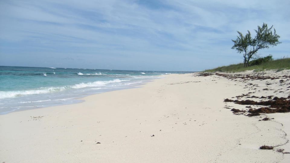 AS SEEN ON HGTV! Lux Condo w/Views, Htd Pool, Beach, Golf Cart, Pickleball House in North Eleuthera