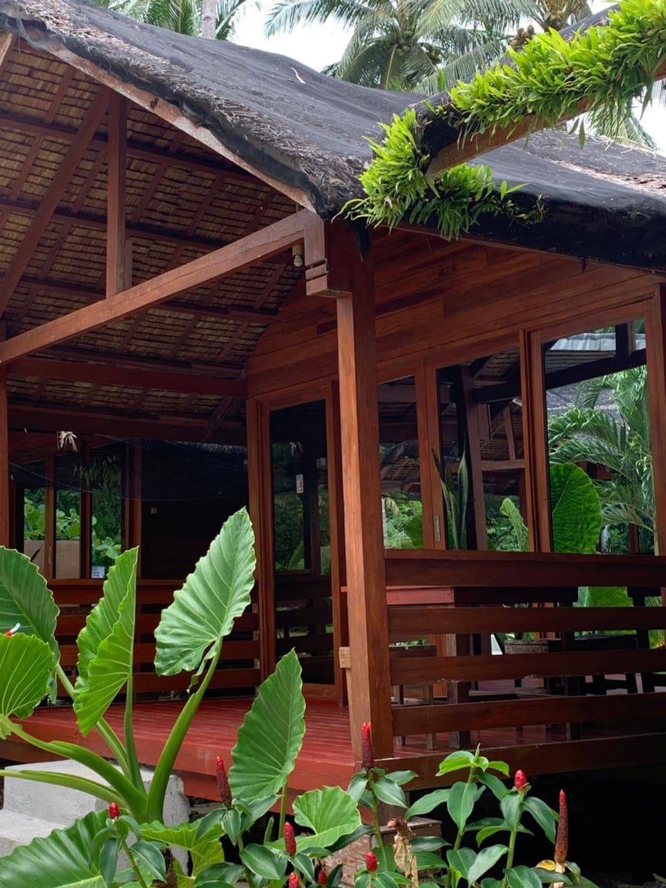 Camp Olli Beach Villas Nature lodge in Siargao Island