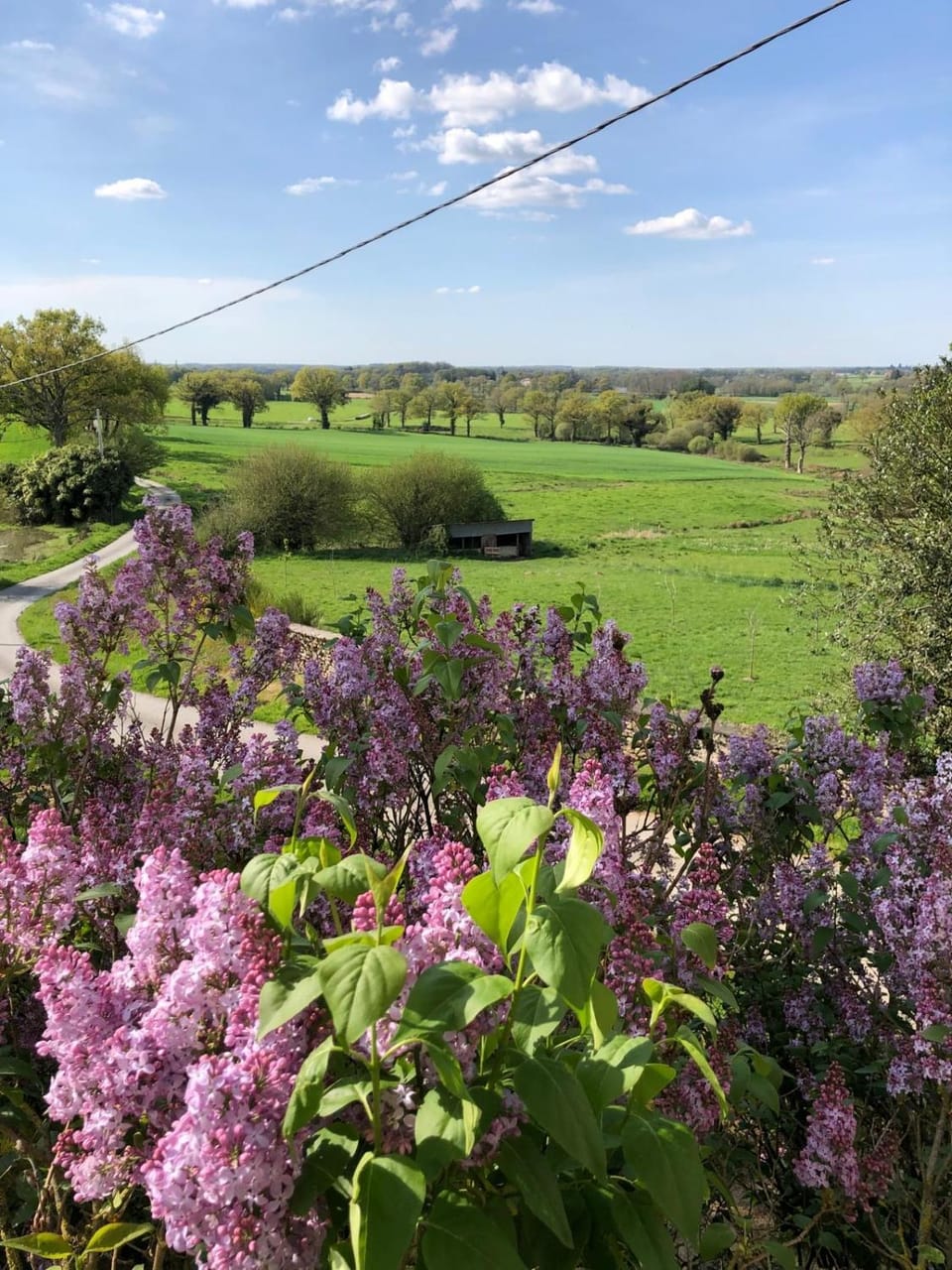 Spring, Garden, View (from property/room), View (from property/room), Other, Garden view