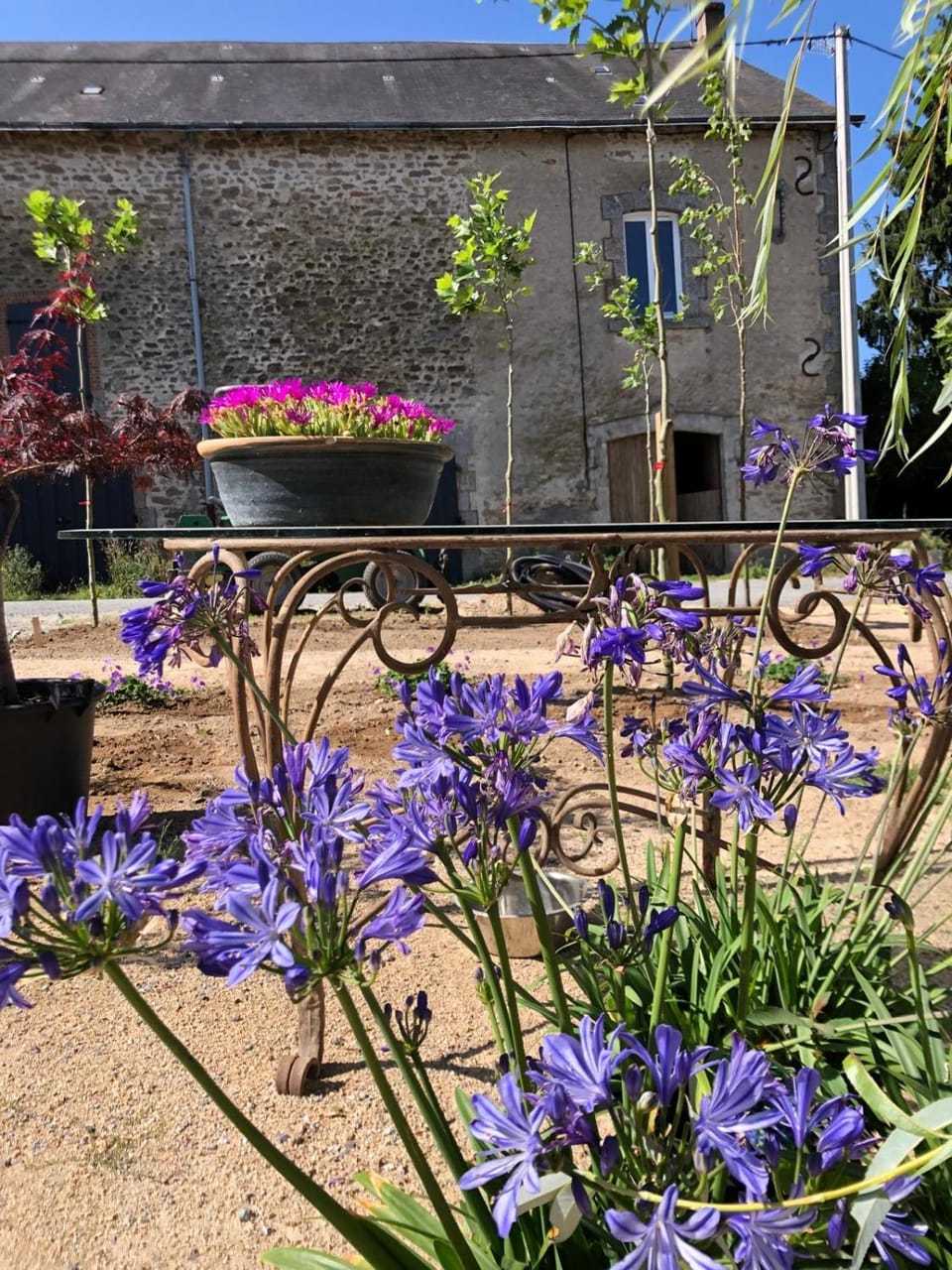 Property building, Spring, Day, Garden, Other, Garden view