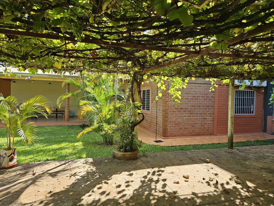 Patio, Garden