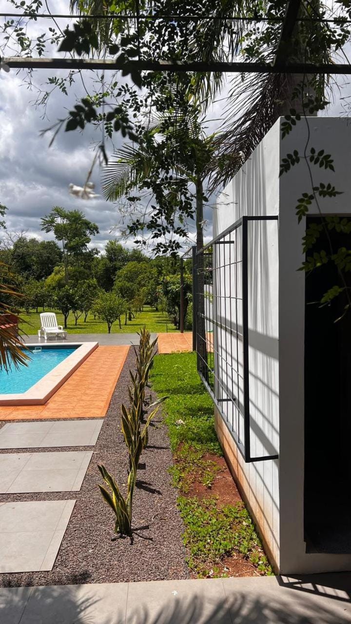 Garden, Swimming pool