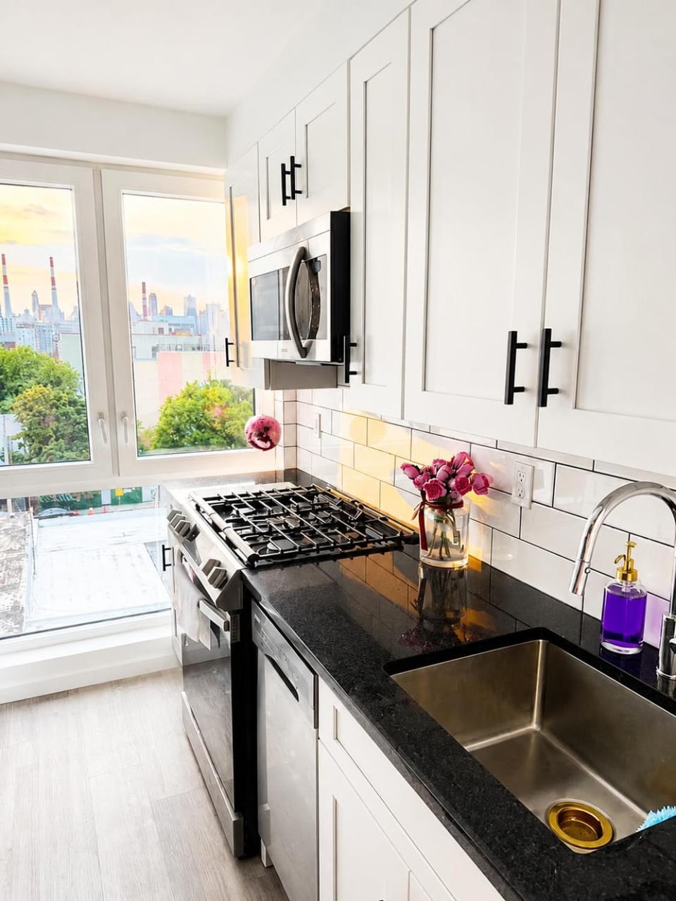Kitchen or kitchenette, dishwasher, stove