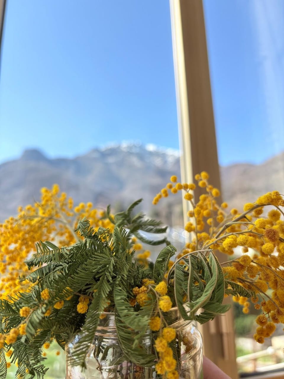 La Finestra sulle montagne Apartment in Piedmont