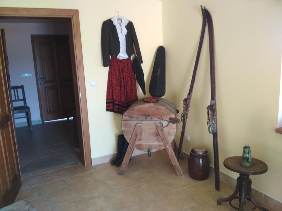 Apartment U Videmanů Apartment in Czechia