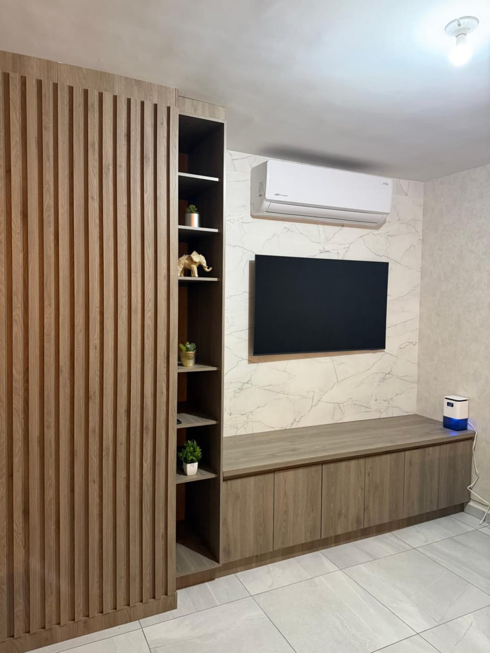TV and multimedia