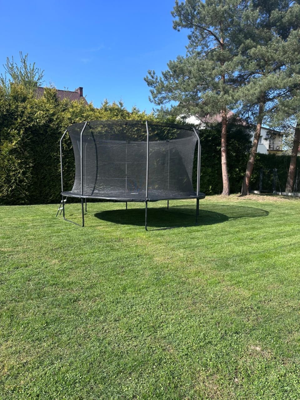 Day, Garden, Garden view