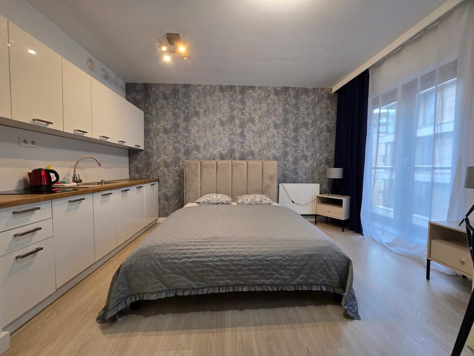 Bed, Kitchen or kitchenette, Photo of the whole room, stove