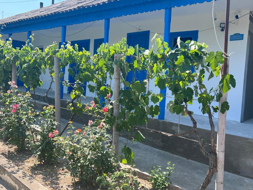 Property building, Day, Garden