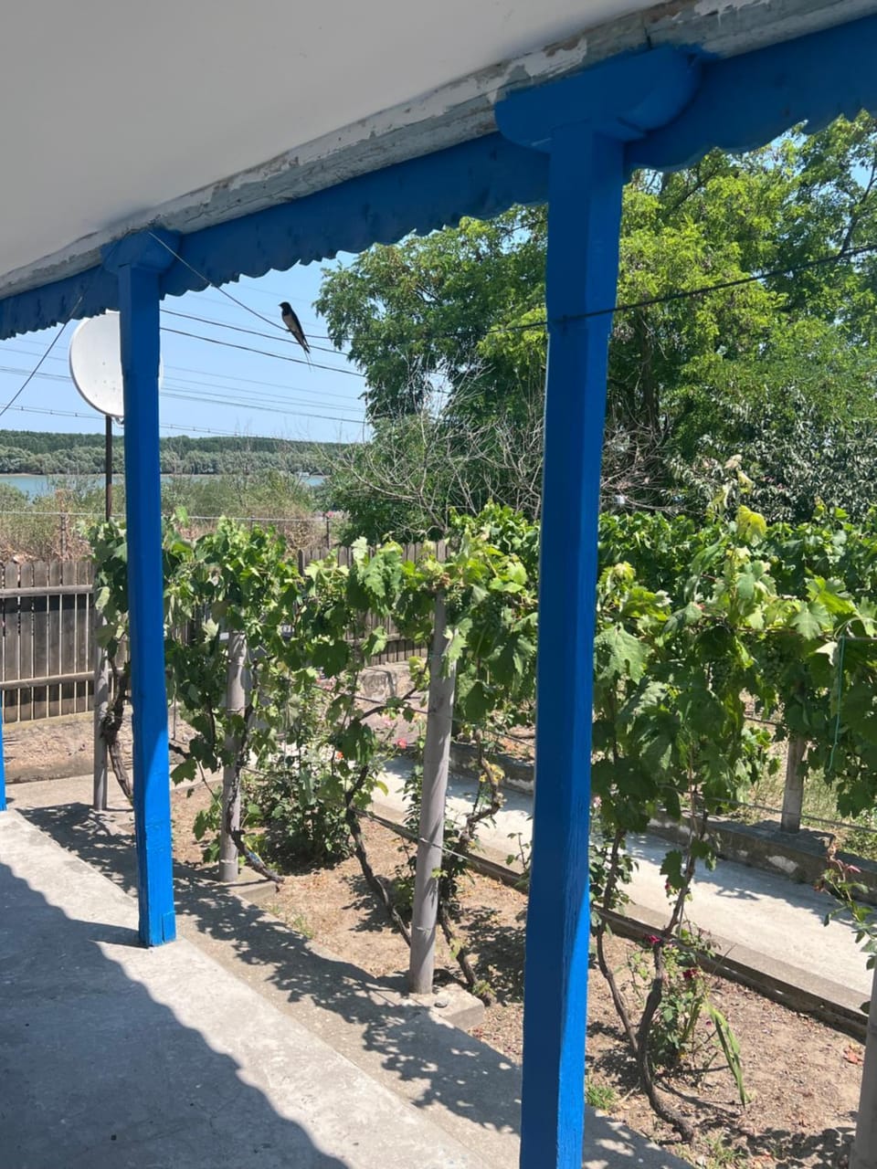 View (from property/room)