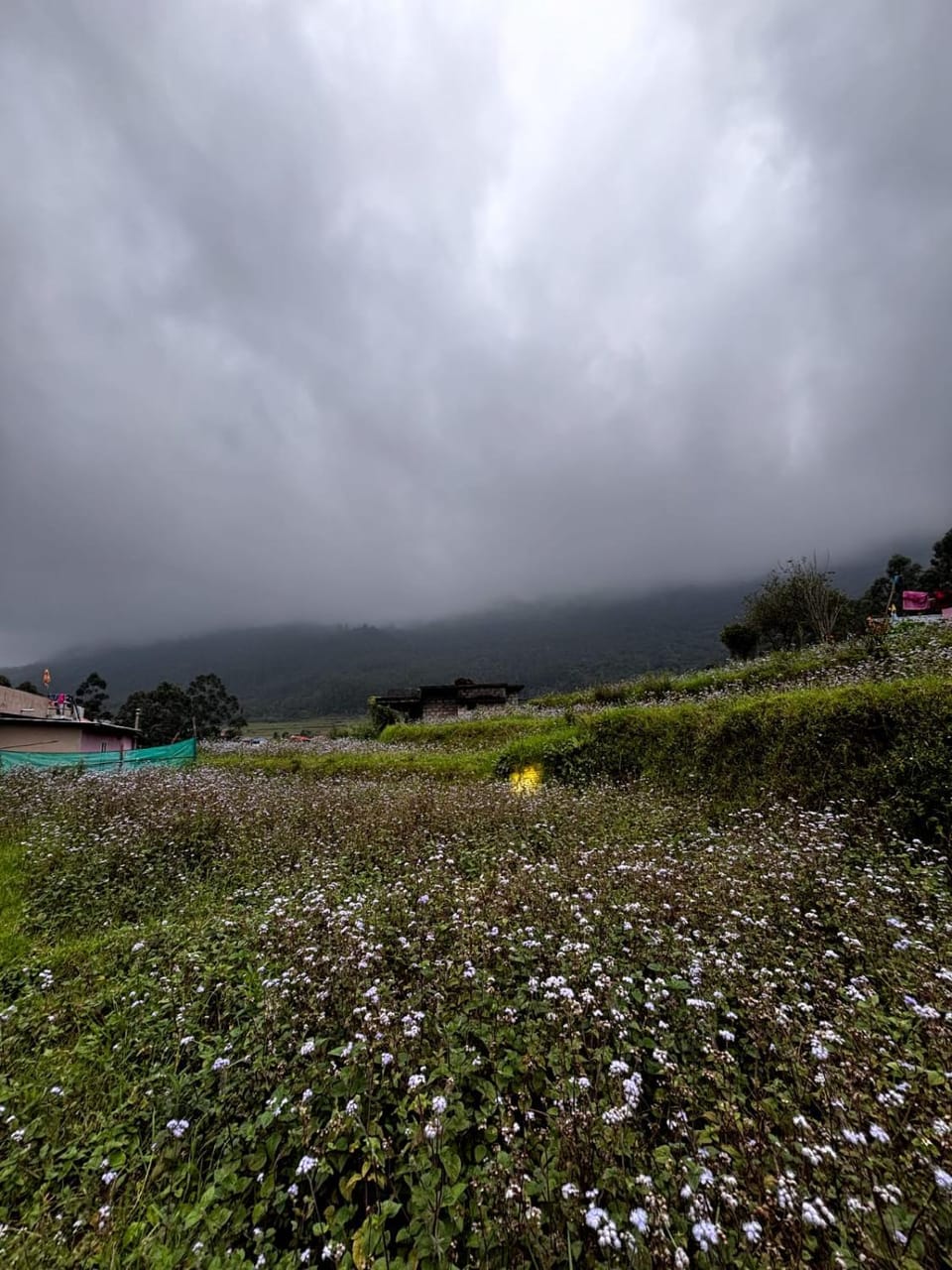 Blue valley Kanthalloor Vacation rental in Kerala