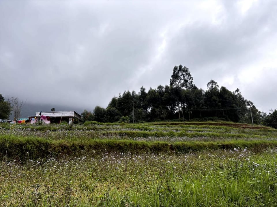 Blue valley Kanthalloor Vacation rental in Kerala