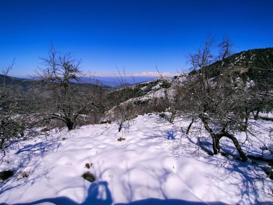 FOREST FUN into the woods Cottages & Campground Campground/ 
RV Resort in Uttarakhand
