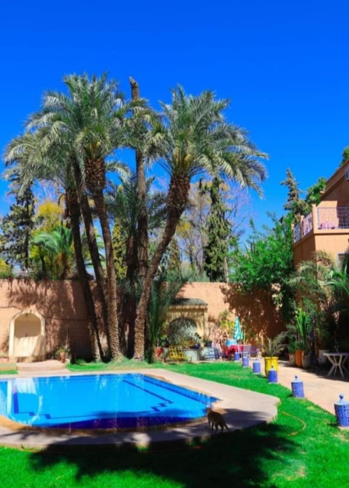 RiadTraditional Stay in Marrakech House in Marrakesh