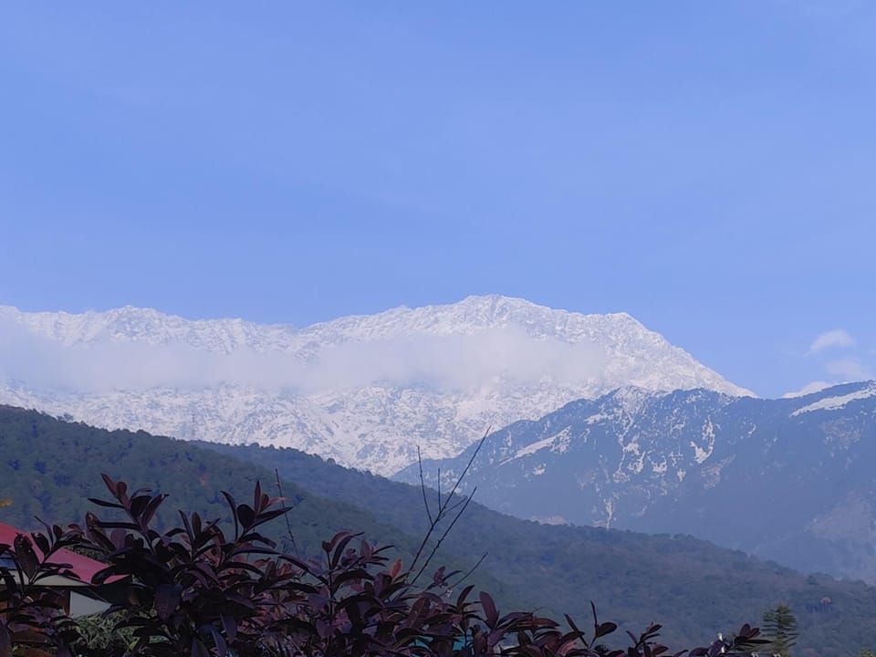 Annie's HomeStay A home stay away from home Apartment in Himachal Pradesh