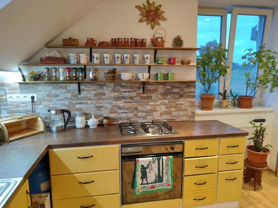 Apartment in Markoušovice for 9 persons near Adšpach Apartment in Czechia