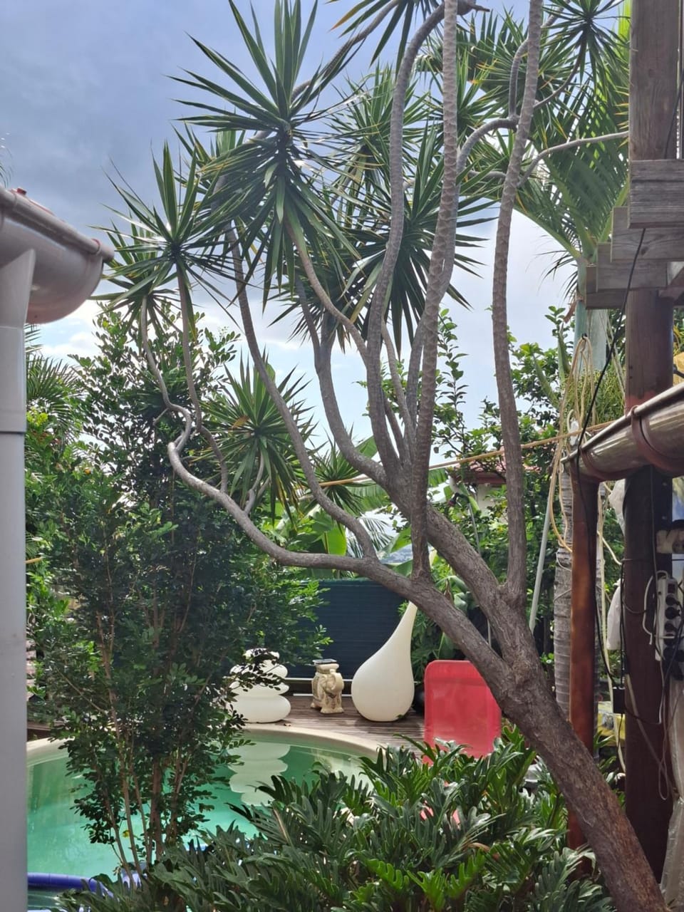 Chalet en bois accés piscine Vacation rental in Réunion