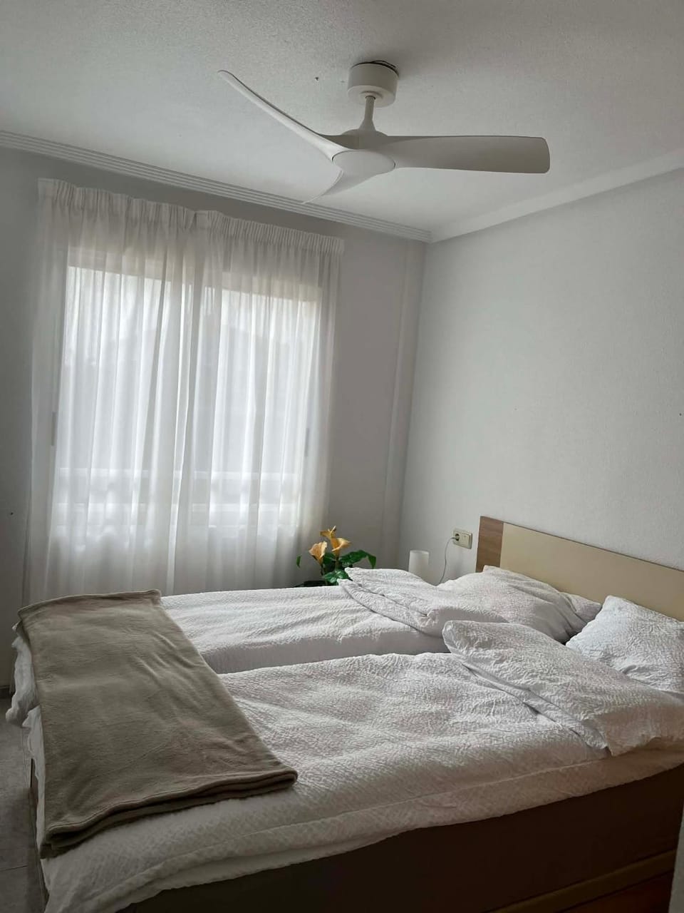 Casa Pasztor LA MATA, Los Leandros, Calle Gerona Apartment in Torre La Mata
