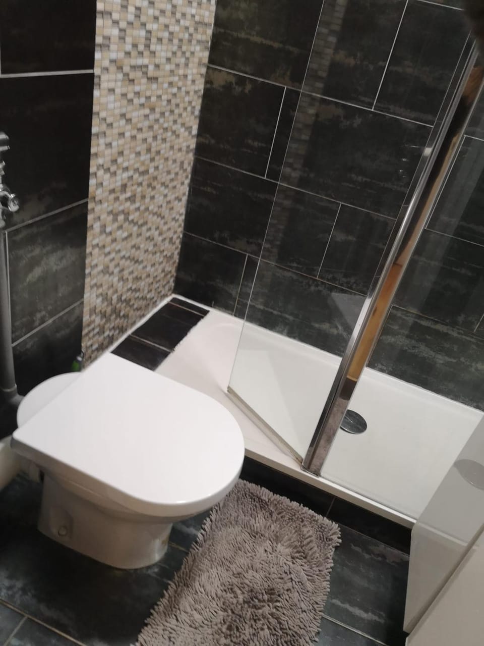 Shower, Toilet, Bathroom